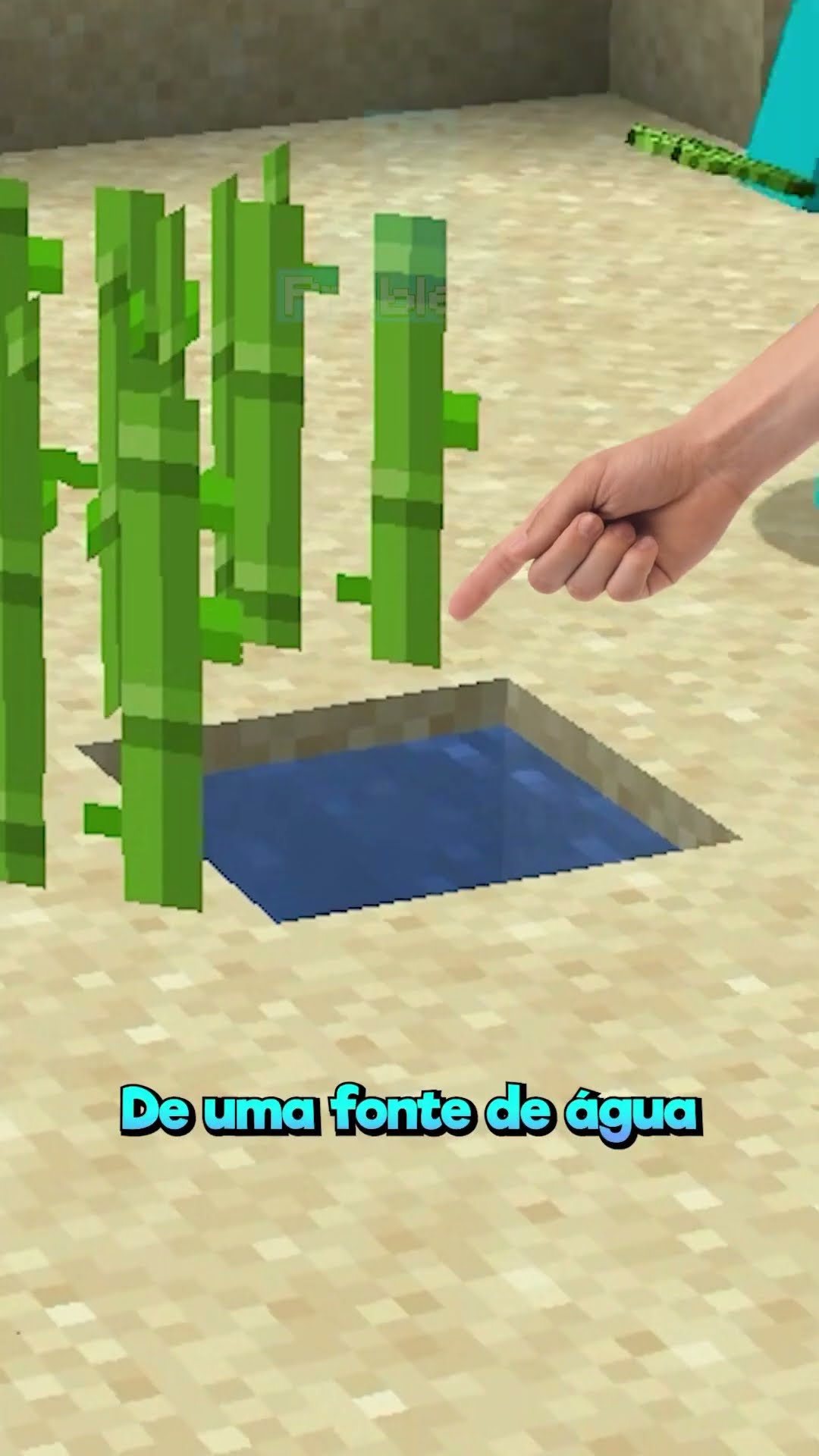 Cana de Açúcar com Lava???