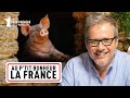 Le tour de france de nos rgions avec philippe gougler  au ptit bonheur la france  s2ep1  ctb