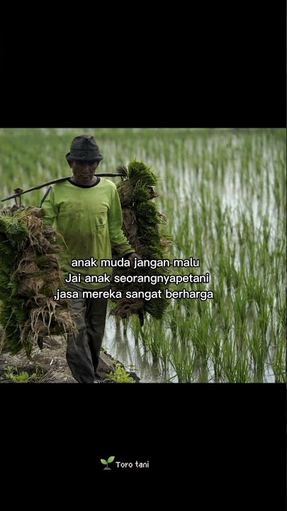 story wa petani