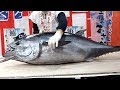 GIANT BLUEFIN TUNA CUTTING SUSHI SASHIMI - Japanese street food