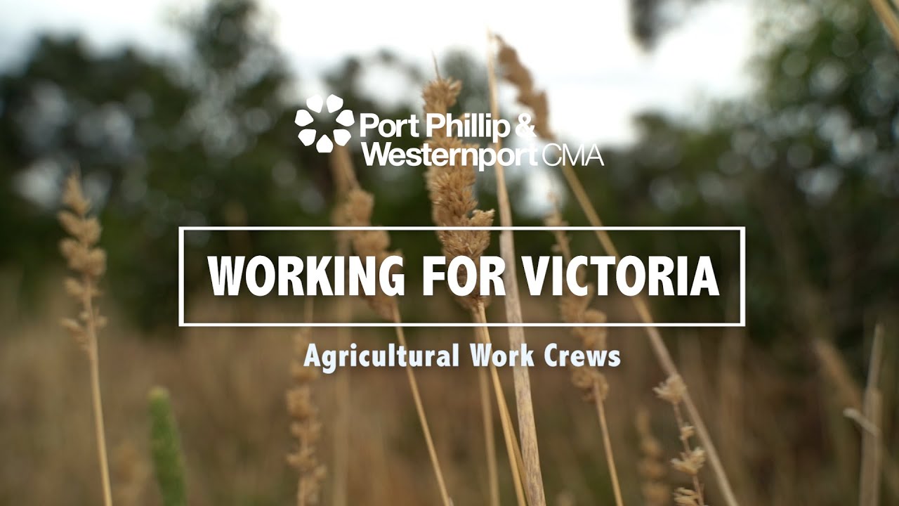 Supporting farmers - PPWCMA Agricultural Work Crews Project
