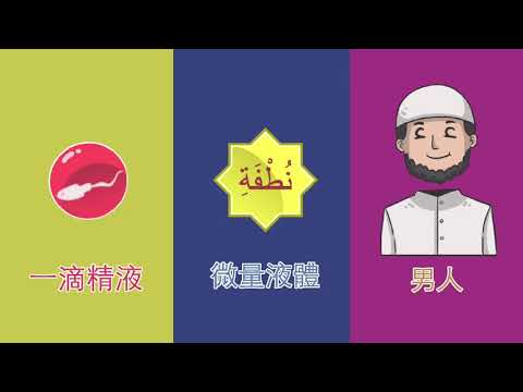 [粵]古蘭經的奇蹟系列————《性別的决定因素》