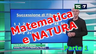 Fibonacci: La Danza dei Numeri nella Natura [P.1] screenshot 3