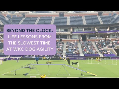 Beyond the Clock: Vital Lessons Learned from the Slowest Dog at WKC Agility - video from Pupford