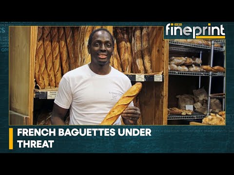 WION Fineprint: French baguettes under threat as bakers face electricity  price hikes 