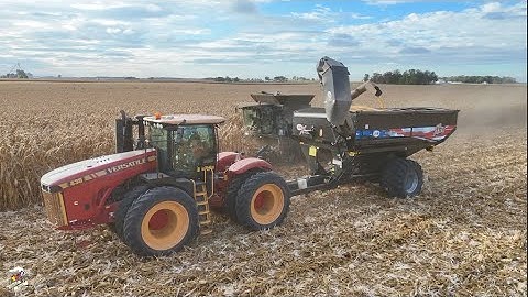 Corn Harvest 2025 near Maria Stein Ohio
