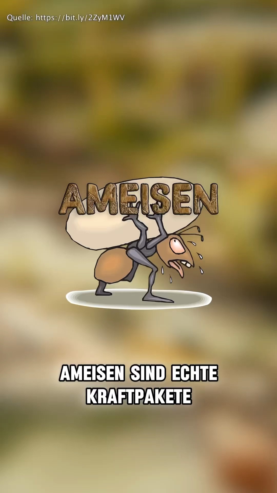 Wissen zum angeben 😋👍 - YouTube