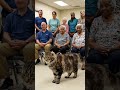 This Homeless Dog Choose Oldest Lady In Adoption Hall   #puppy #animalshelter