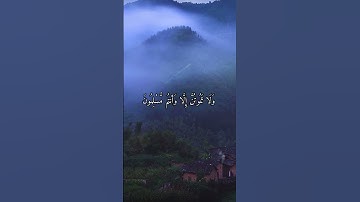 واتس اب قران كريم القارئ ياسر دوسري (سوره ال عمران)