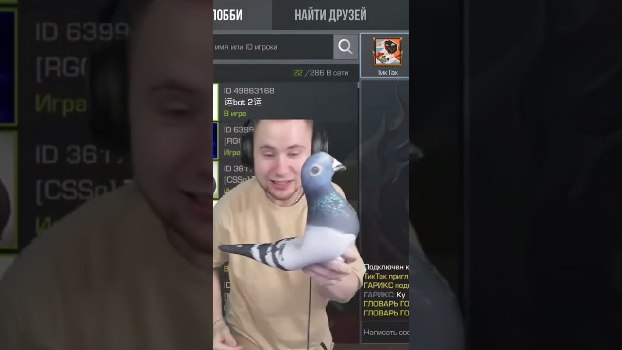 ТИК ТАКА УКУСИЛ ГОЛУБЬ 