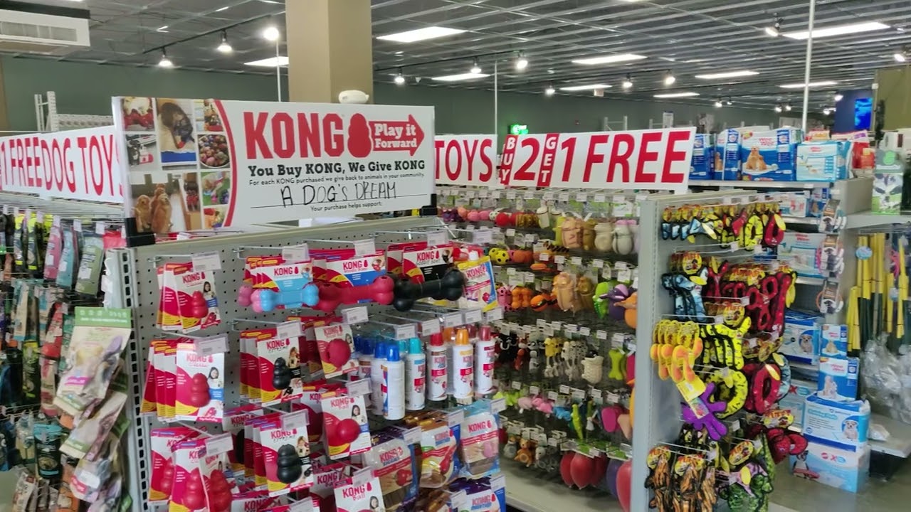 Summit Zoo Pets Walkthrough