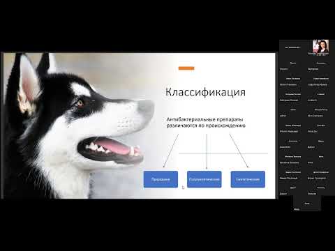 07.06.22 "Применение антибиотиков в практике. Новое слово в лечение серьезных инфекций у животных"