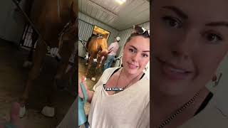 Pregnancy Checks And Breeding Season Part 2