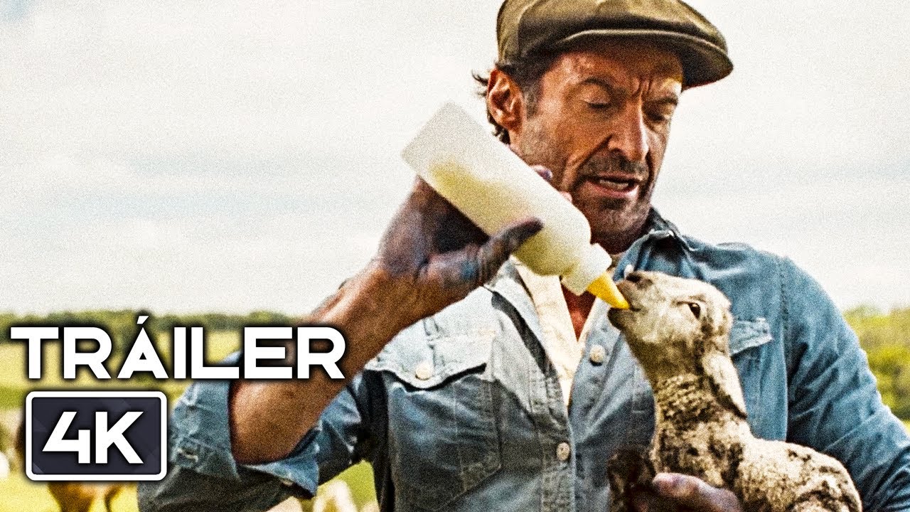 LAS OVEJAS DETECTIVES Tráiler Oficial Español (2026) Hugh Jackman
