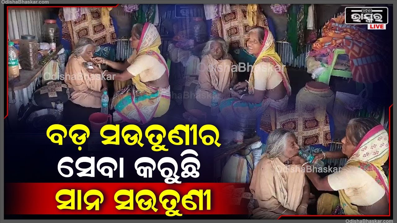 ଦିନେ ସଉତୁଣୀ ସଉତୁଣୀ ଭିତରେ ପଡୁନଥିଲା, ହେଲେ ଆଜି ବଡ ସଉତୁଣୀ ସାନର ନେଉଛନ୍ତି ଯତ୍ନ I