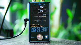 I Think I Found The Best Budget Reverb (Walrus Fundamental