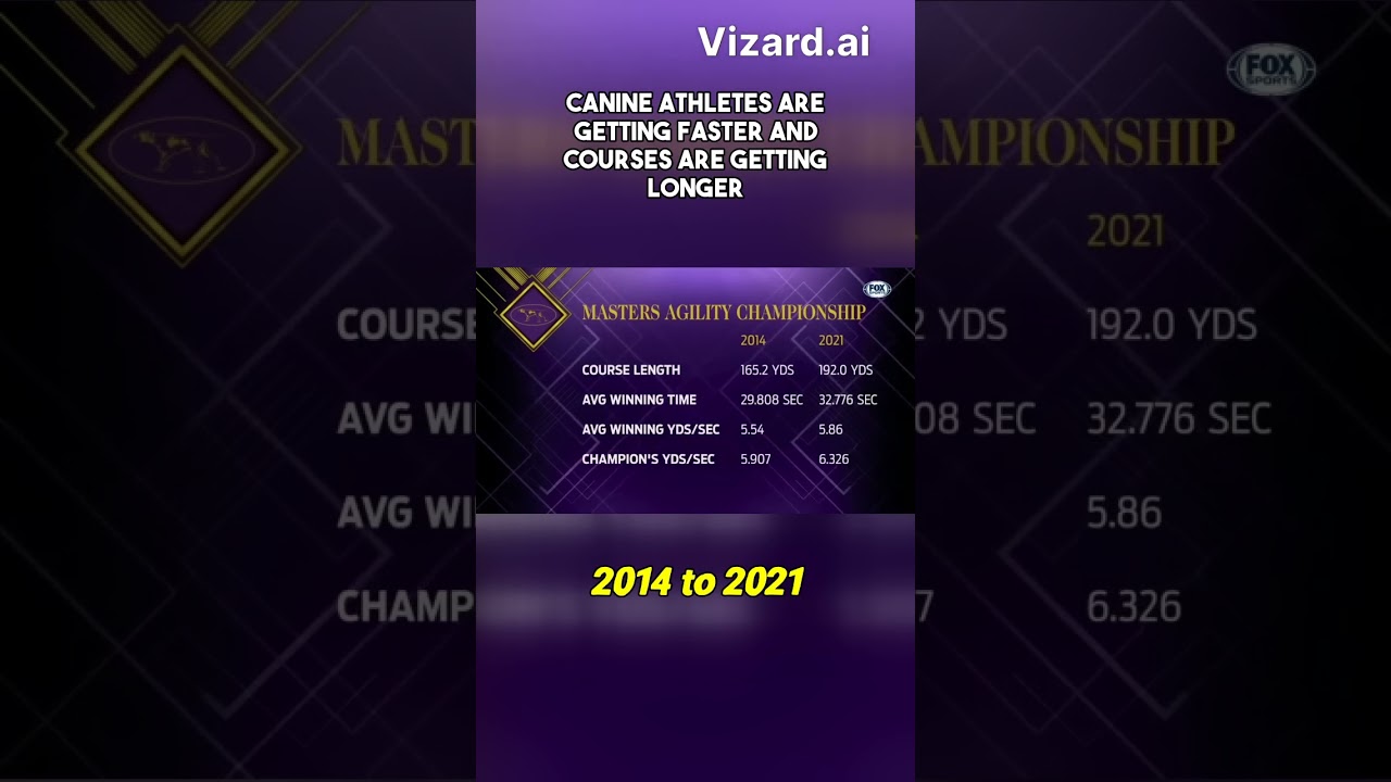 \Border CollieBest of 2022 Masters Agility Championships from Westminster Kennel Club 