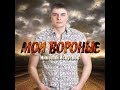 Мои вороные . исп Николай Искуснов . Песня Класс .