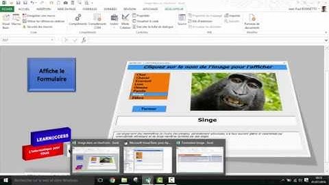 Excel VBA - Comment afficher des Images dans un  Formulaire (Module n° 1)