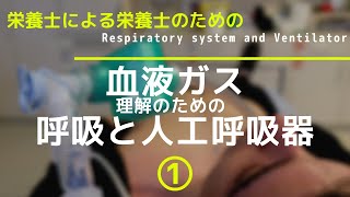 #22①【血液ガス理解のための呼吸と人工呼吸器】Respiratory system and Ventilator