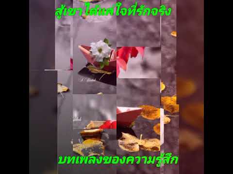 สู้เขาได้แค่ใจที่รักจริง