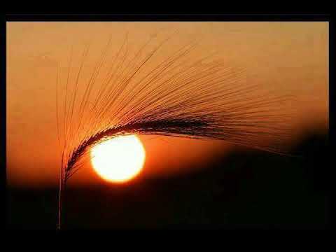 اجمل شيلة 2019 خلوني ابعد عن متاهات الأشغال لاتفوتك 