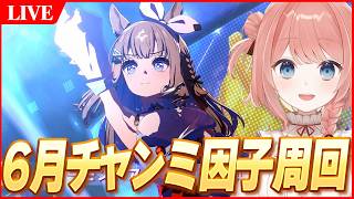 【ウマ娘LIVE】因子設計図つく～ろ～　ドアを開けて～　6月チャンミ『日本ダービー』　アモアイ＠2