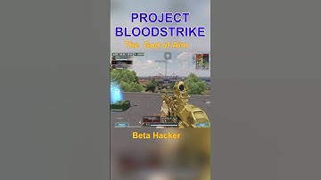Project BloodStrike Hacker