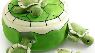🐢 Best Hide and Seek Puzzle Toy for Dogs! Hollypet Squeaky Plush Turtles 🧠 screenshot 5
