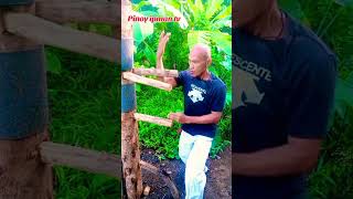 iPAG AKO PINILI MO #trending #youtubeshorts #shortvideos #viral #shorts #wingchun iPAG AKO PINILI MO #trending #youtubeshorts #shortvideos #viral #shorts #wingchun