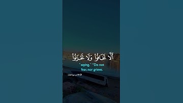 #quran #القرآن #استمعوا_وانصتوا_لعلكم_ترحمون #اللهم_صل_وسلم_على_نبينا_محمد #تلاوة_خاشعة #فلسطين