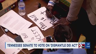 TN Senate to vote on 'Dismantle DEI Act'