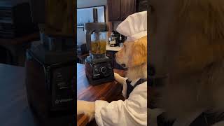 Celebrity Golden Retriever Dog Chef COOKS Dad DINNER! #dogsofyoutube #cutedogs #personalchef #health #shorts Wealth