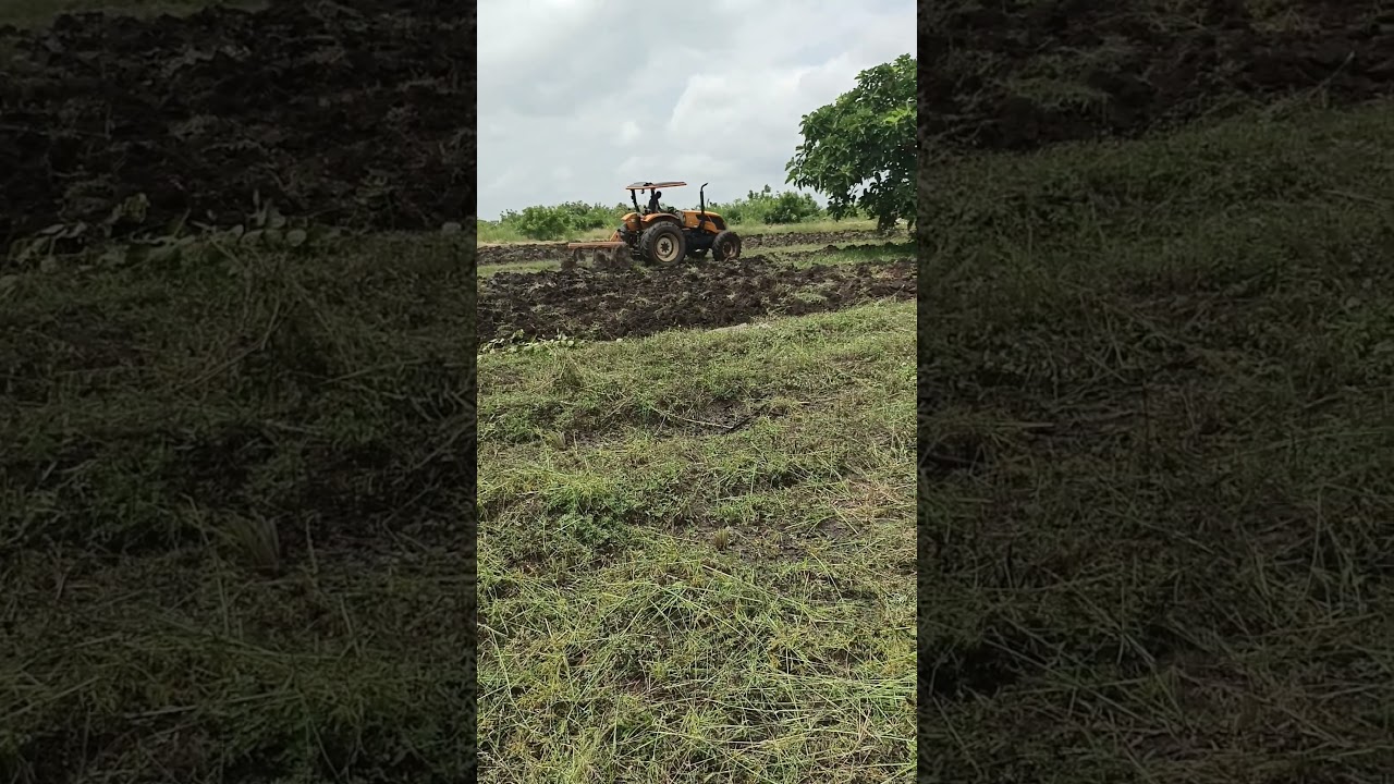 Engaging in the cultivation of five acres for dry season pepper farming.