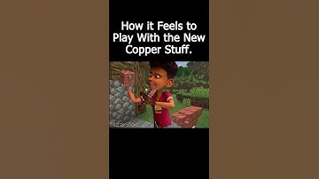 Chicken stars #minecraft