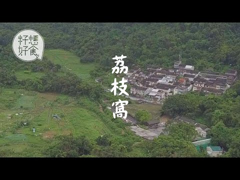 遊嚐荔枝窩—隱世大廚獨守荒村炮製私房菜 保險佬逃離城市下鄉復耕種藜麥（#籽想好食— 果籽 Apple Daily—原刊日期：20200513）