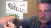 Instant pain relief from a toothache with a ice cube. - YouTube