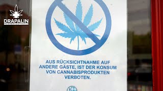 Cannabis-Garten In München? Münchner Wirt Teilt Seine Erfahrungen Spezial-Folge 11