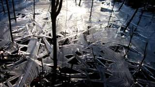 Trixcis – Icescape – Soft, Ice-cold Instrumental Piano Ballad screenshot 4