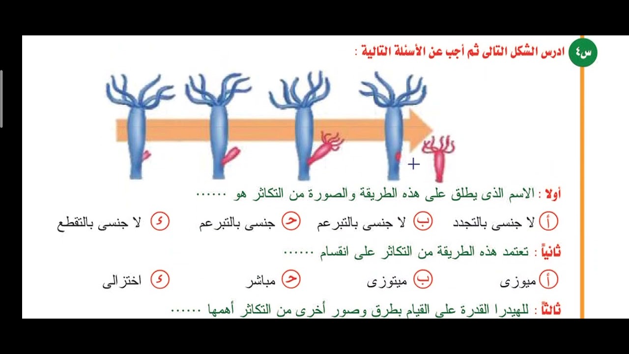 2- حل كتاب الفائز اسئلة صور التكاثر اللاجنسى ( التعليق على الرسم ) الأستاذ/ محمد الرفاعى ذكى