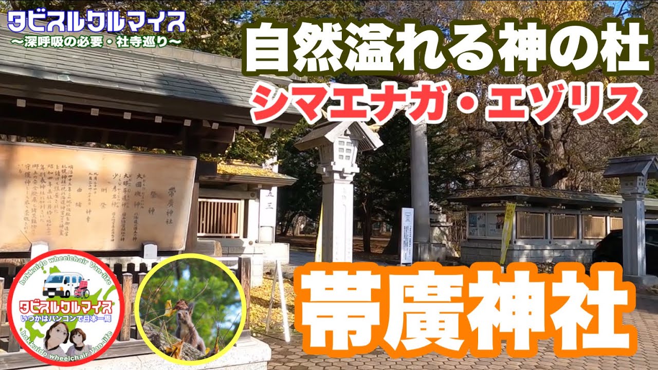深呼吸の必要 北海道帯広市 帯廣神社 シマエナガとコラボした御神籤 御朱印帳が大人気 野生の小動物や小鳥に癒される Youtube