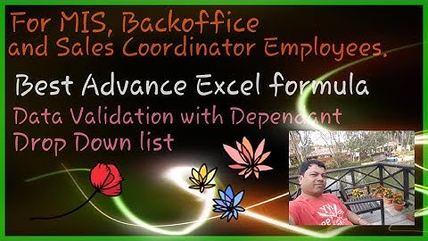Data Validation with Dependant Drop down list in Advance Èxcel- Hindi