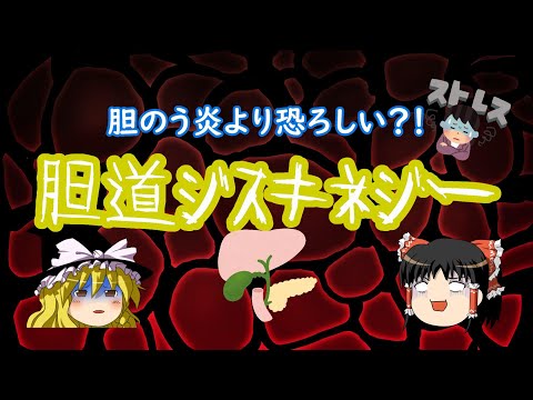 【ゆっくり解説】ストレスが原因？！　胆道ジスキネジー　#5