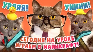 Если Бы Котики Ходили В Школу - Майнкрафт