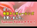【マクロレンズ購入】新型タムロン90mmマクロレンズを購入したので水滴撮影をしてみました!