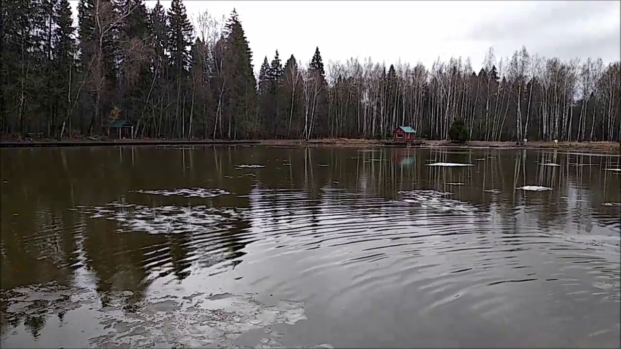 Русфишинг км лосиный остров