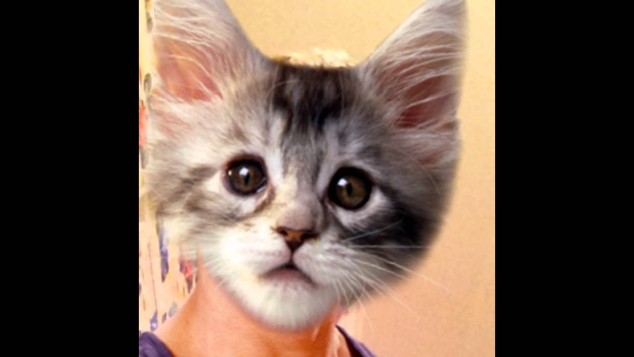 когда есть подписчики