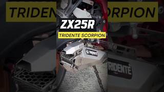 Kawasaki Zx25r Tridente Scorpion  shorts kawasaki zx25r tridente exhaust knalpot