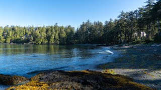 Terrace Beach Resort - Ucluelet, British Columbia・4K HDR