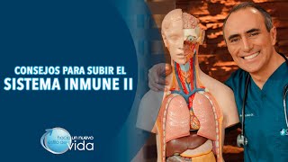 CONSEJOS PARA SUBIR EL SISTEMA INMUNE II  HACIA UN NUEVO ESTILO DE VIDA